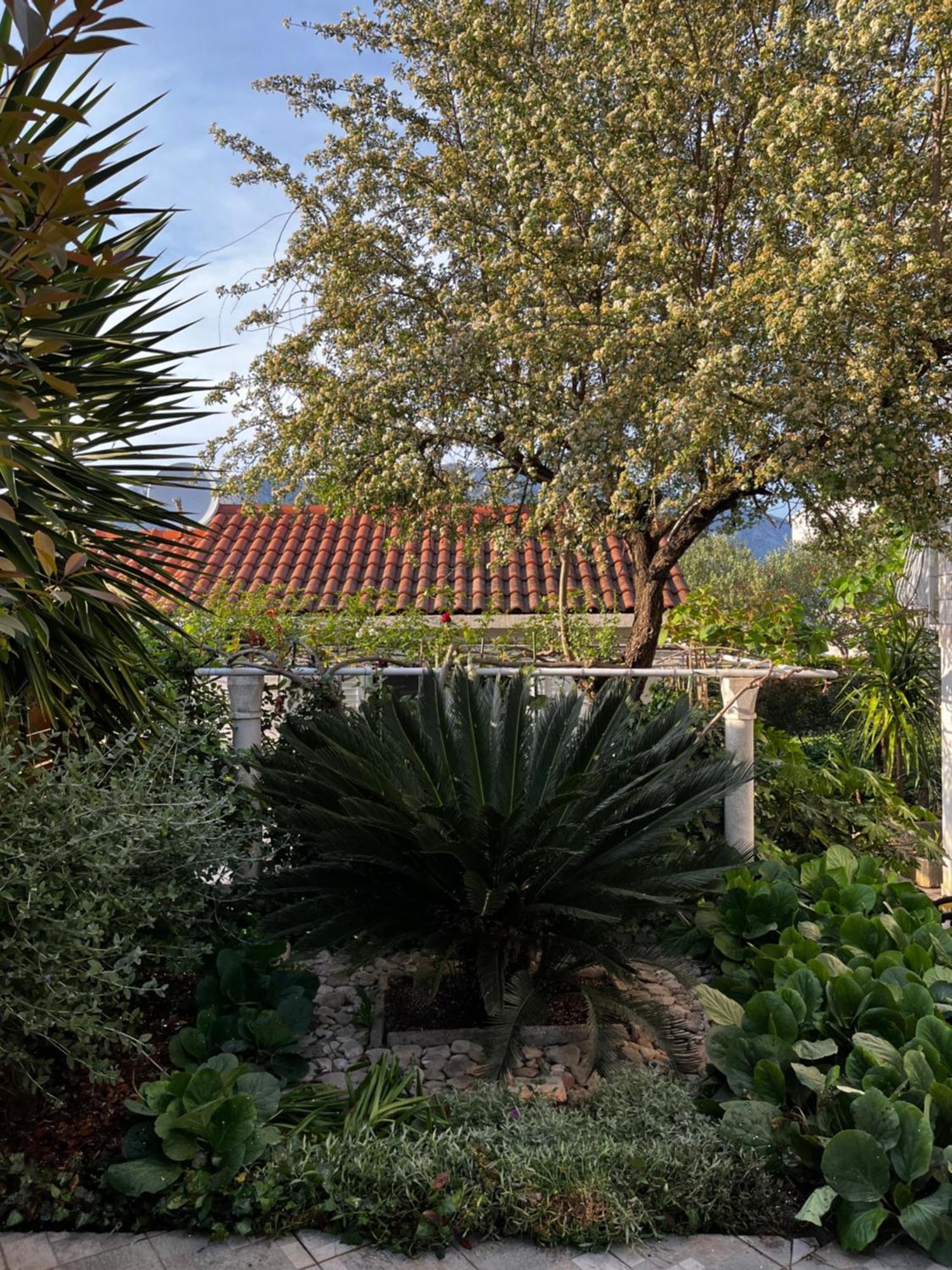 Apartmán Tianri Korčula Exteriér fotografie