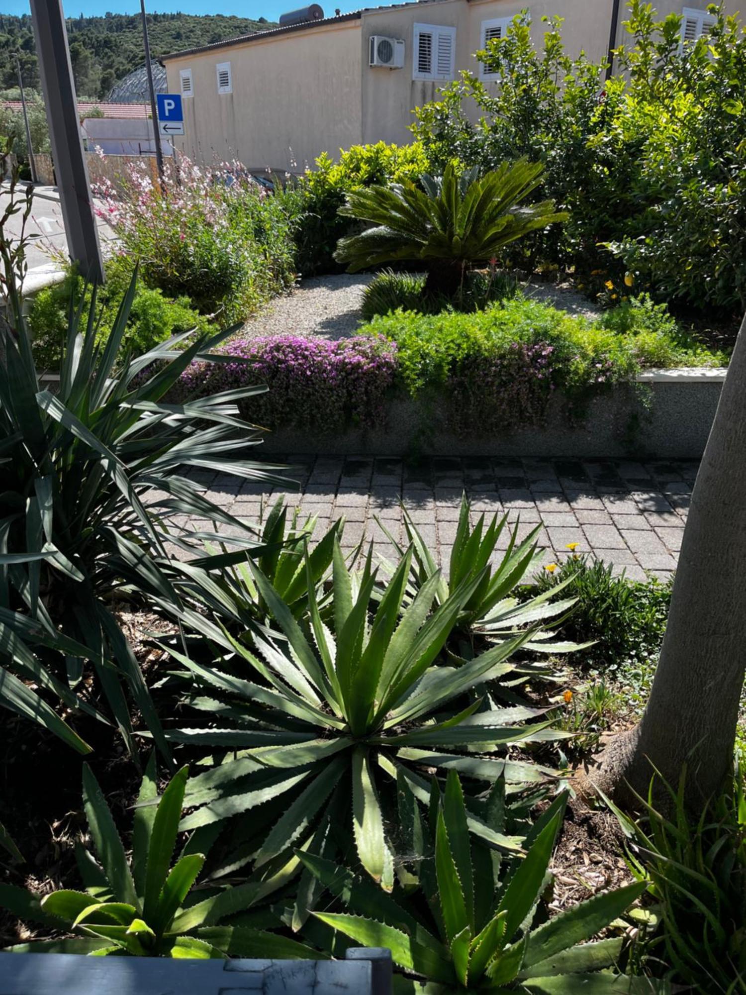Apartmán Tianri Korčula Exteriér fotografie