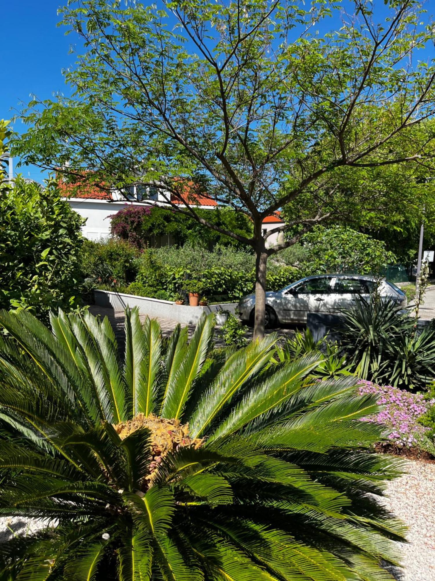 Apartmán Tianri Korčula Exteriér fotografie